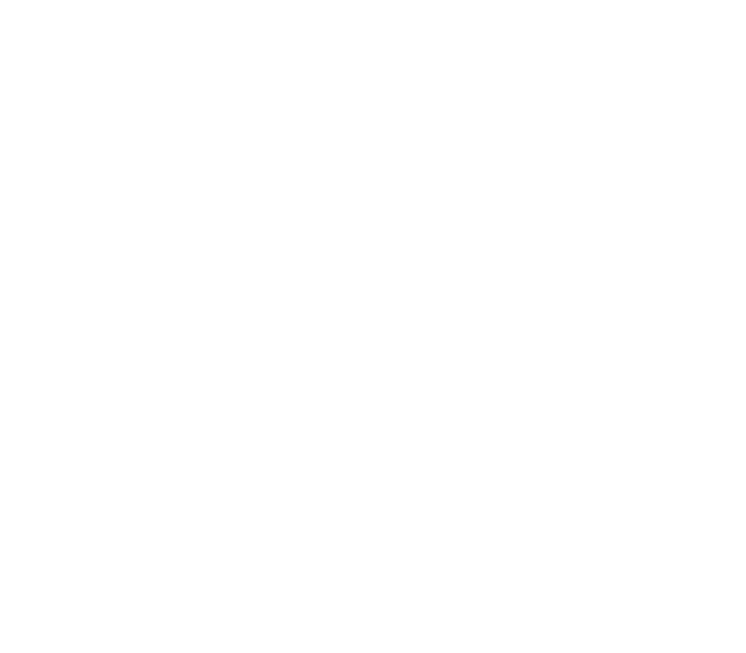 Bottom Left Corner Flying Image